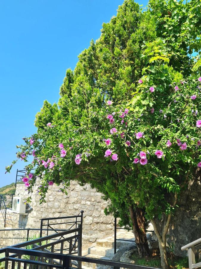 Villa Nera Budva Exterior foto